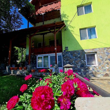Vila Giulia Войняса Экстерьер фото