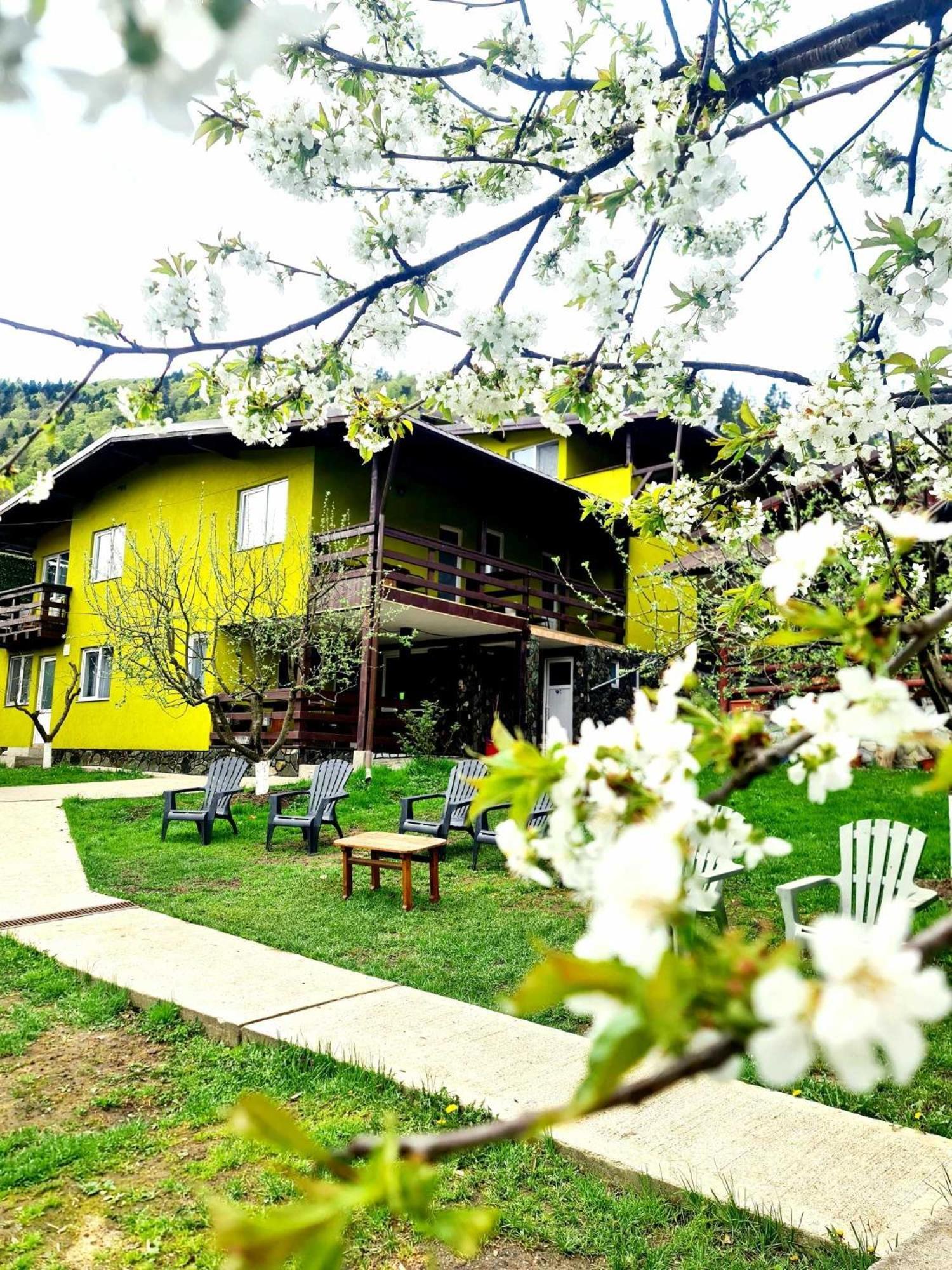 Vila Giulia Войняса Экстерьер фото